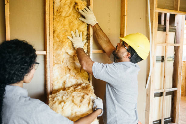 Professional Insulation Services in Fullerton, CA